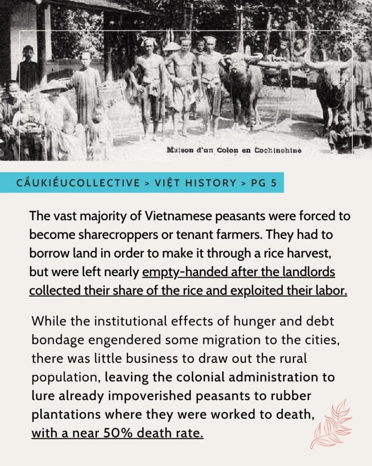 There is a black and white image of vietnamese peasants and oxen in front of a property. The image is older and looks faded. There are trees and a building. On the image in the right bottom corner is “Maison d’un Colon en Cochinohine”. The blue highlighted subheader is “Caukieucollective > Viet History > Pg 5”. Below is a paragraph that is “The vast majority of Vietnamese peasants were forced to become sharecroppers or tenant farmers. They had to borrow land in order to make it through a rice harvest, but were left nearly empty-handed after the landlords collected their share of the rice and exploited their labor. “empty-handed after the landlords collected their share of the rice and exploited their labor” is underlined. Below is a paragraph that is “While the institutional effects of hunger and debt bondage engendered some migration to the cities, there was little business to draw out the rural population, leaving the colonial administration to lure already impoverished peasants to rubber plantation where they were worked to death, with a near 50% death rate.” “with a near 50% death rate” is underlined. There is a red minimalist outline of a fern on the bottom right corner. The background is a creamy white. The text is in all black.